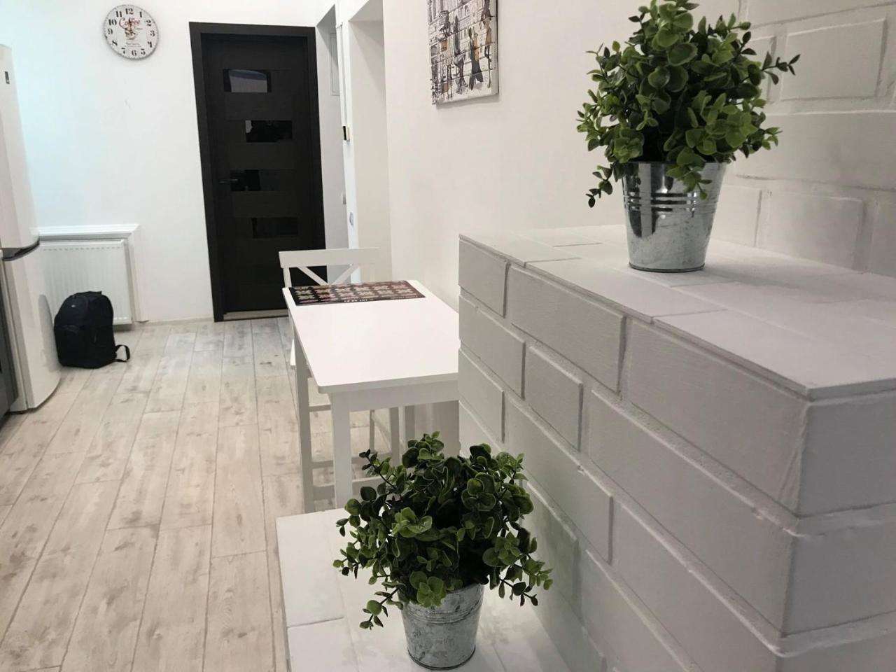 Modern Apartment 利沃夫 外观 照片